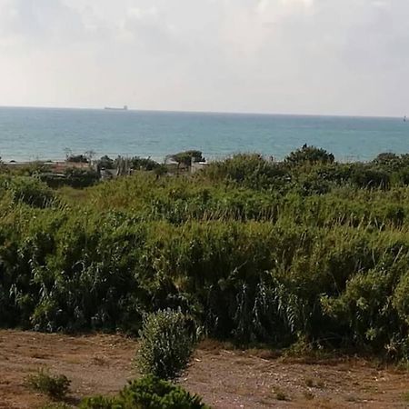Apartamento Playa Canet Valência Exterior foto